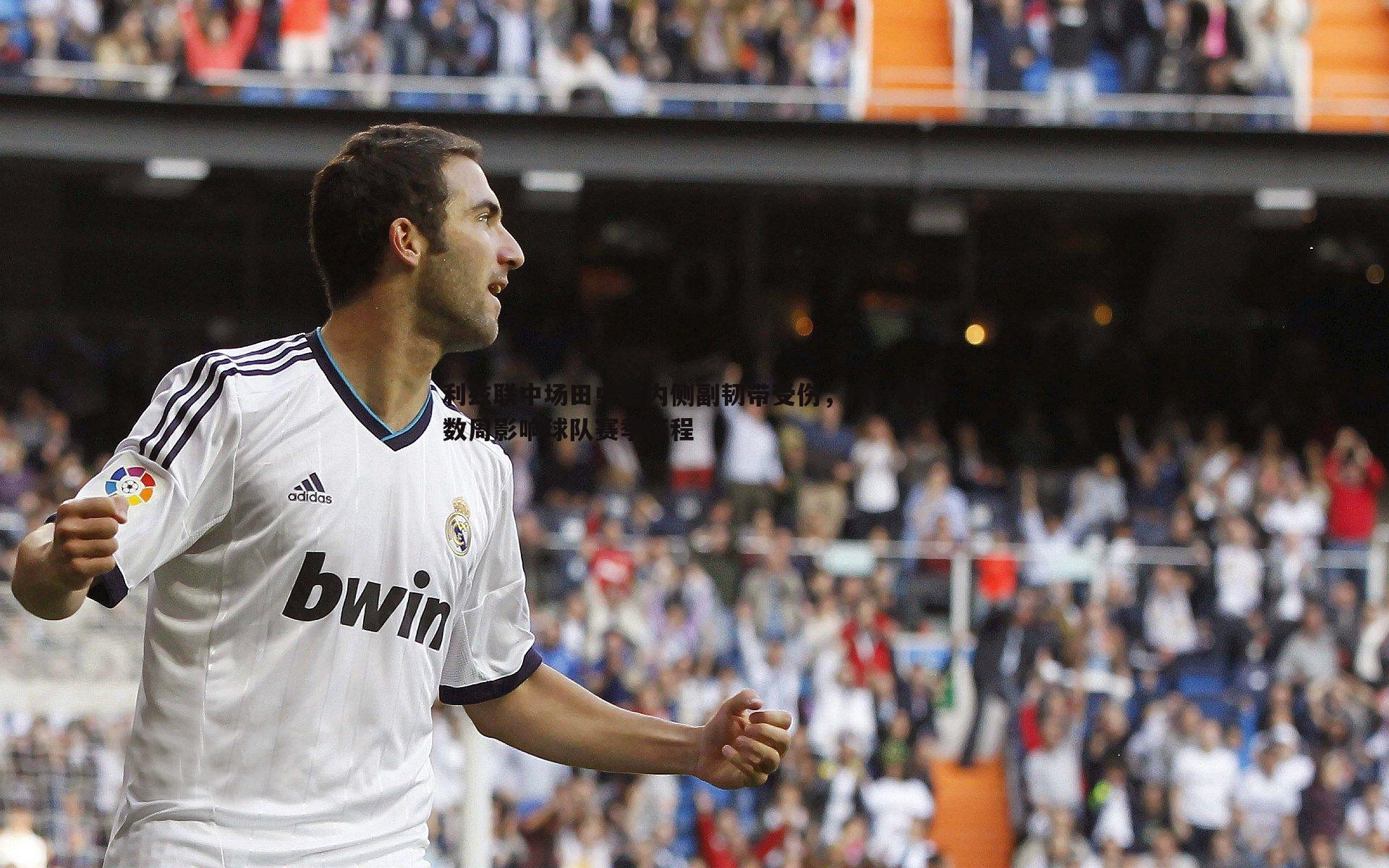 利兹联中场田中碧内侧副韧带受伤，预计缺阵数周影响球队赛季征程